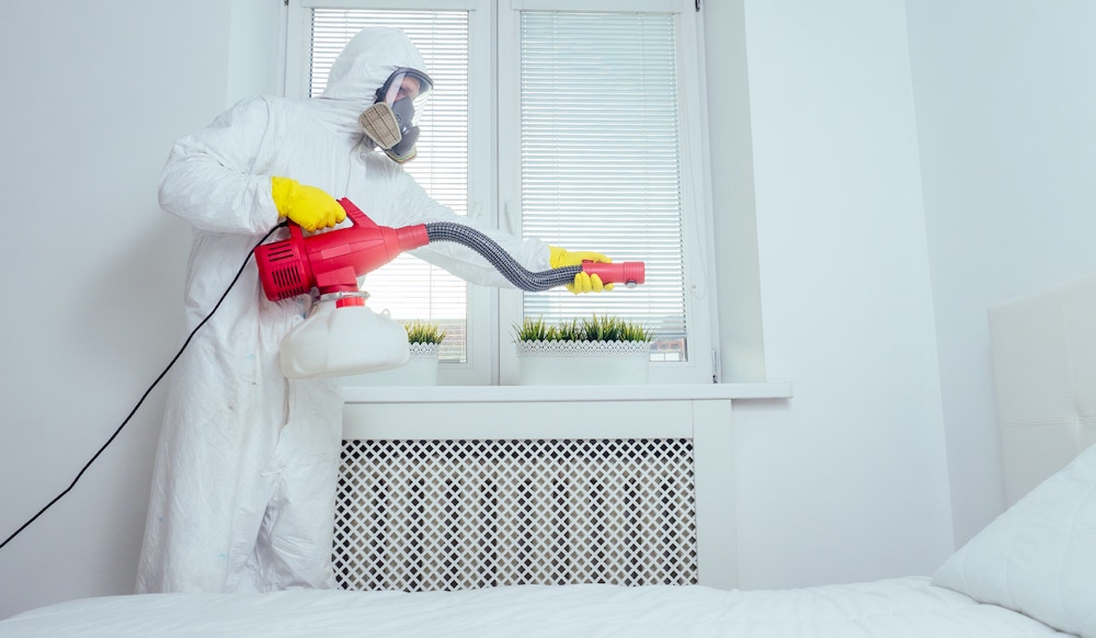 Principi attivi formulati insetticidi