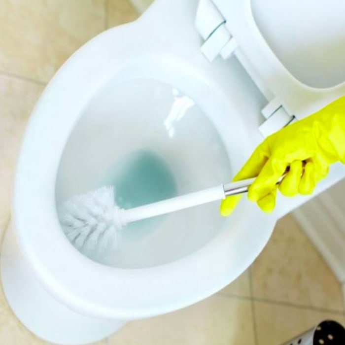 Pulizia Scopino del Bagno e wc igiene