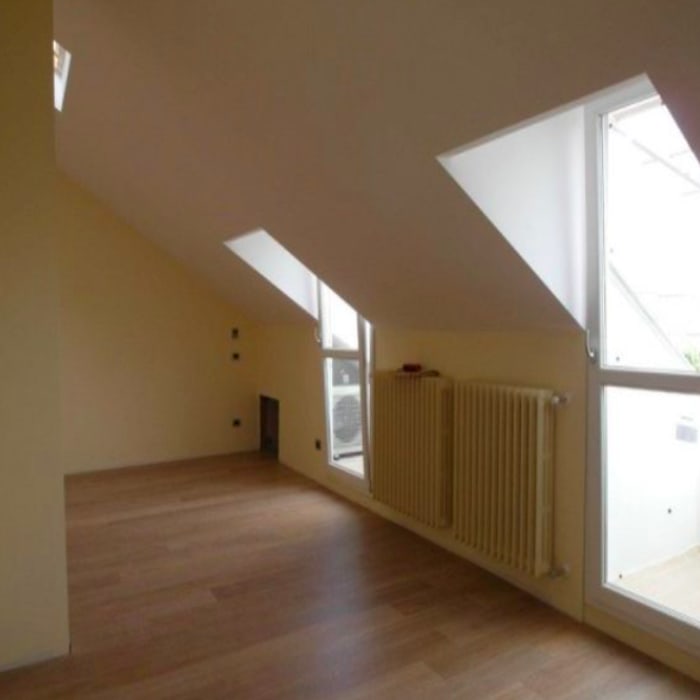 Eliminare topi e insetti nascosti nel sottotetto