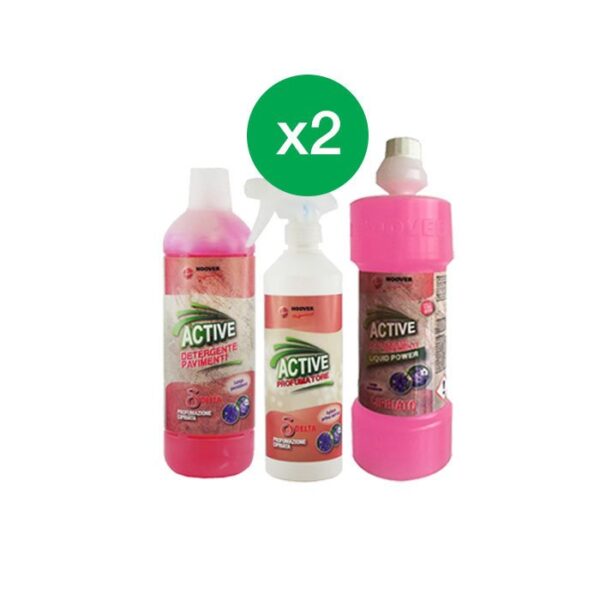 Kit Ambiente: 4 Detergenti + 2 Profumatori Active Hoover Professional
